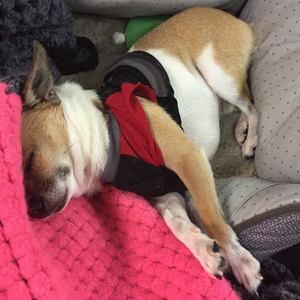 Meet your Posher, Olivia